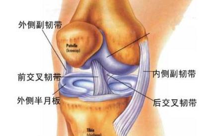膝关节活动有响声应该看什么科室,膝关节活动有响声是怎么回事