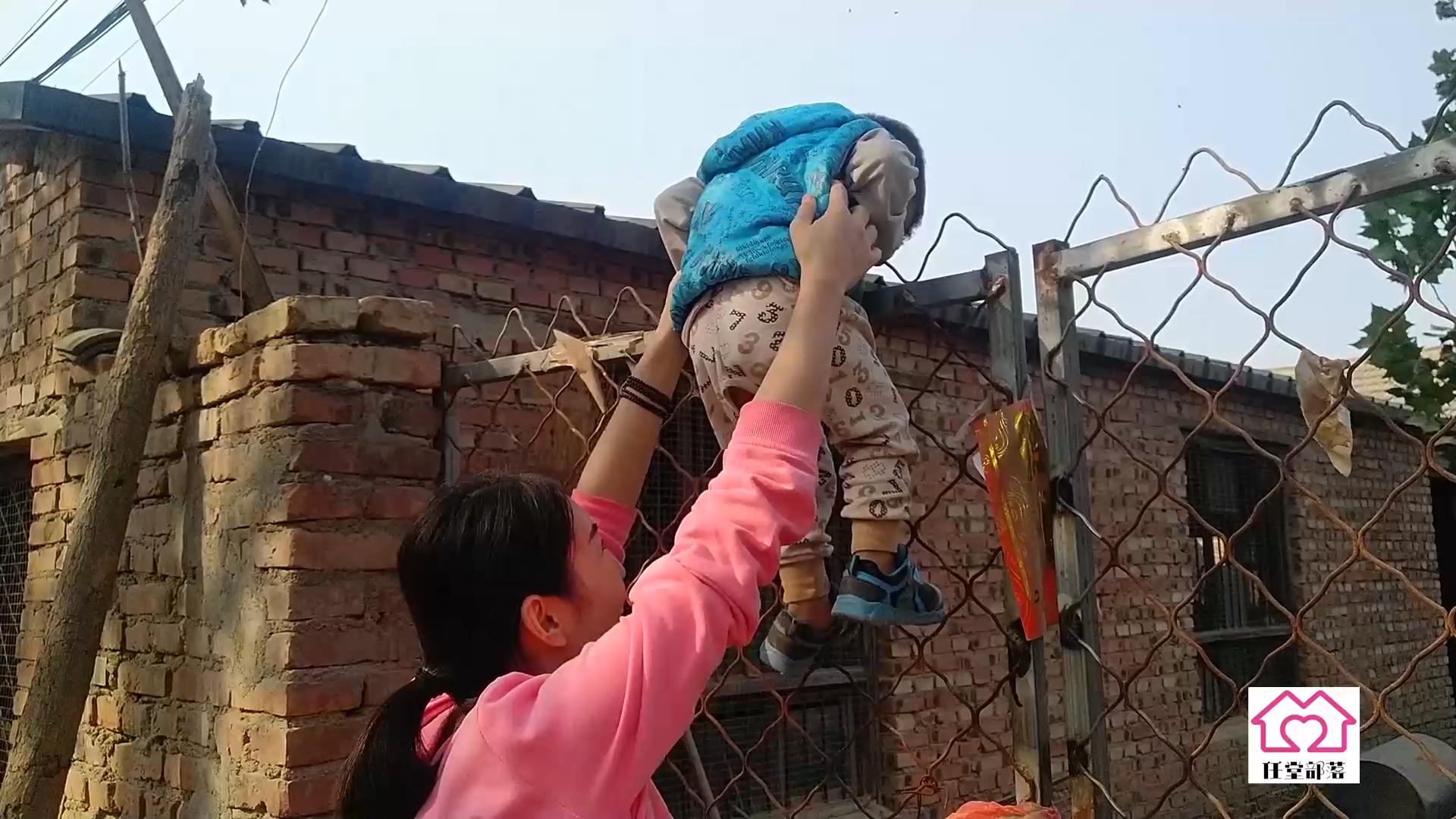 农村地里养殖柴鸡,大叔在农村养一万只芦花鸡