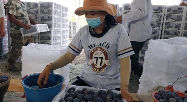 伊宁县疫情之下的我们,疫情期间医务人员不退缩