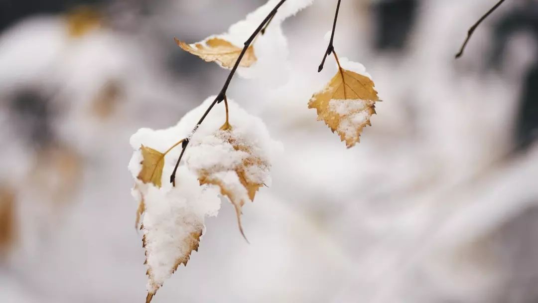 阿克苏农林牧副渔转让,阿克苏农林牧副渔微动力果园转让