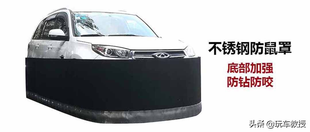 老鼠能钻进汽车驾驶室吗,如果老鼠进家里要怎么办