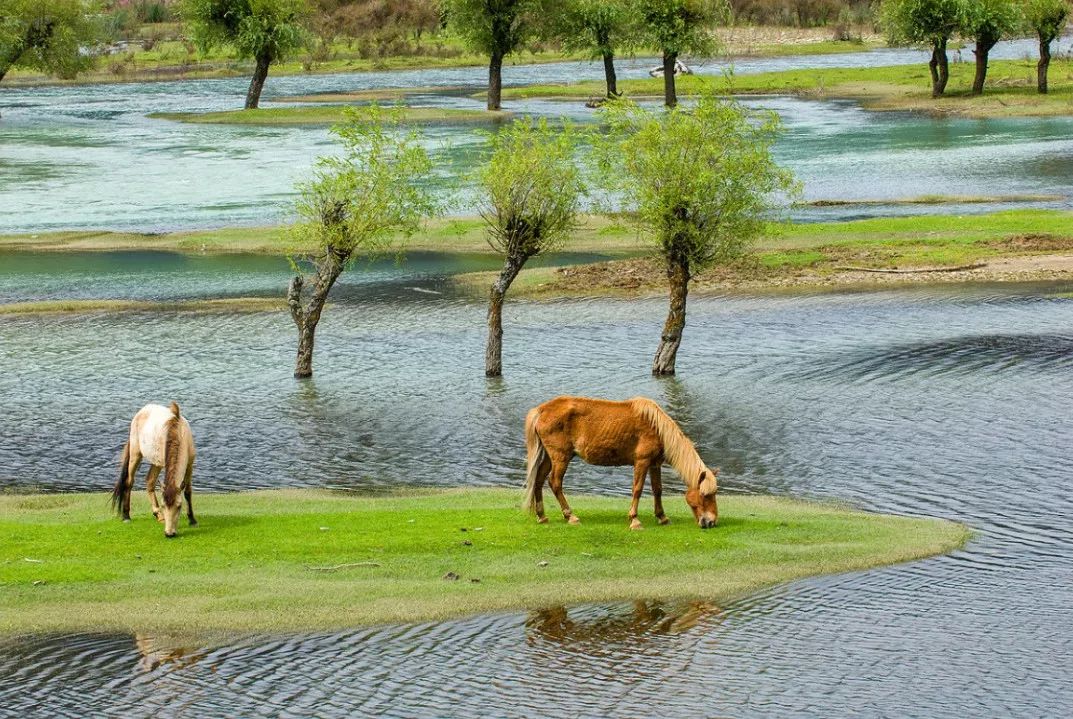 藏于山水间的度假酒店推荐,可以看日落和海景的度假酒店