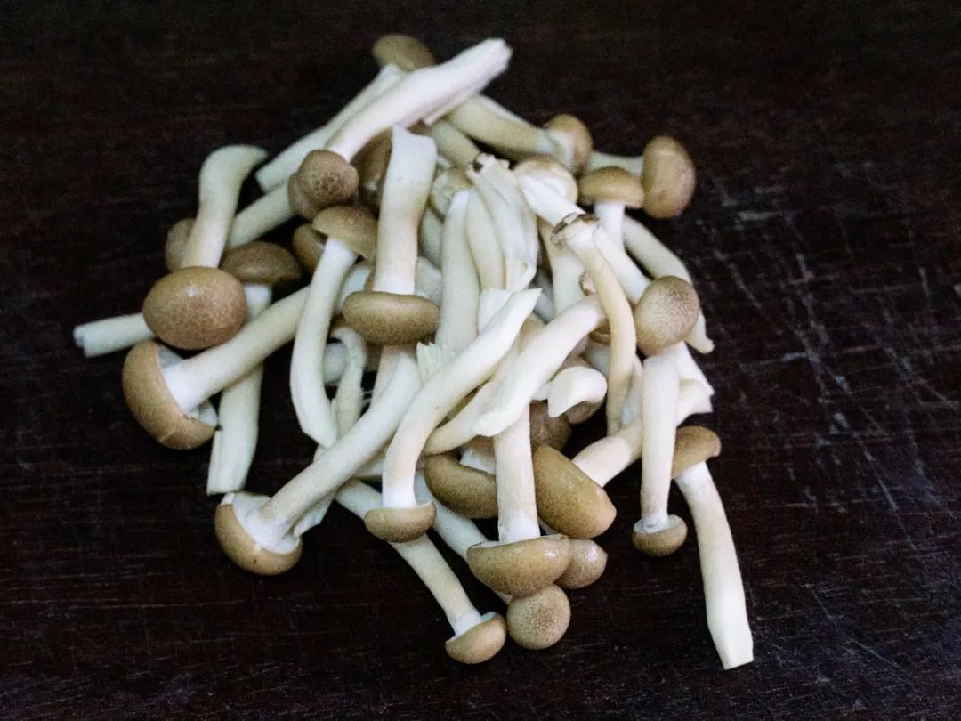 适合拔牙后好吃的流食食谱,拔牙后煲什么粥好吃