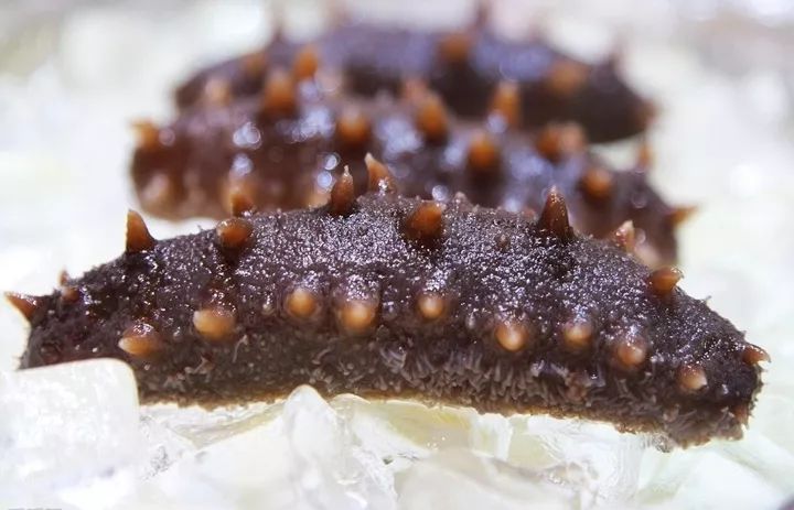 养殖什么稀奇的品种赚钱快又好养,养殖最赚钱的品种