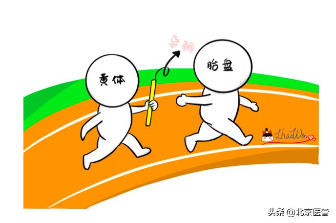 孕期服药需谨慎，孕妈妈应这样使用“保胎药”