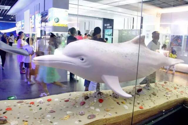 深圳暑假推荐地方,深圳适合高中生参观的地方