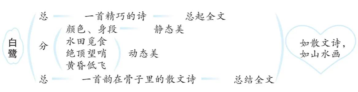 五年级课文白鹭预习,五年级语文第一课白鹭的生字预习