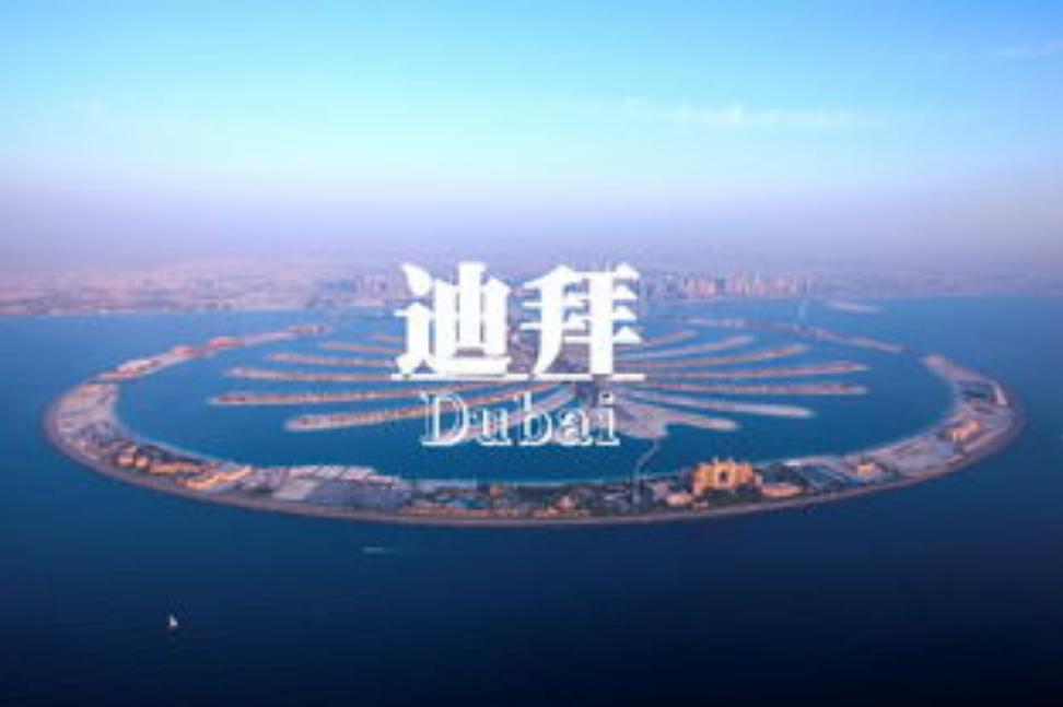 迪拜最大的骗局,迪拜坑人旅游真实案例