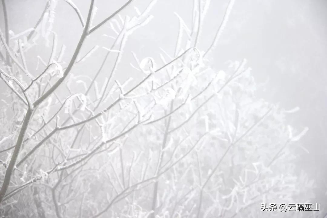 华蓥山1月15日还有雪吗,华蓥山冬天有雪吗