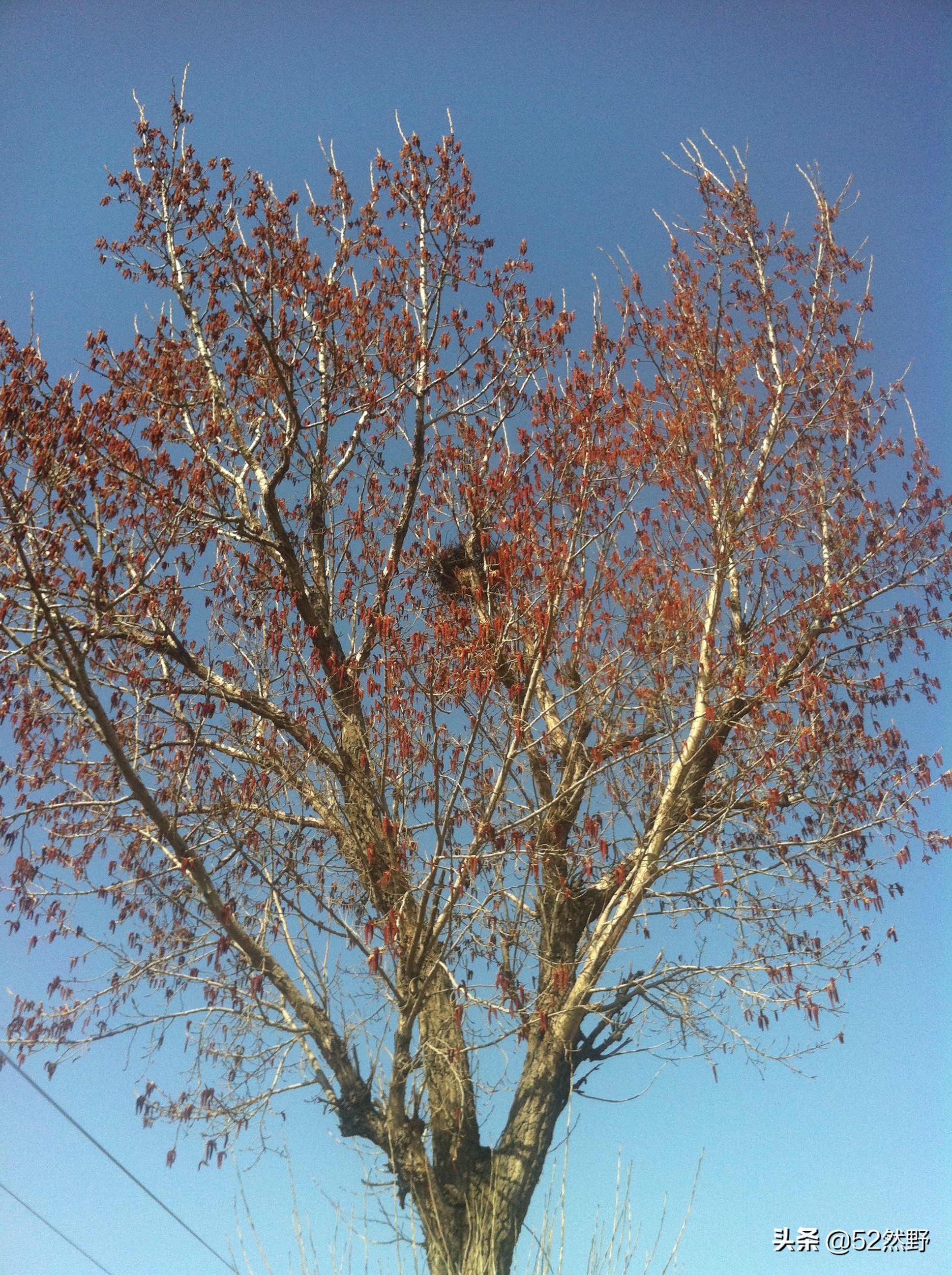 永定河北京的母亲河桑干河,桑干河与滹沱河
