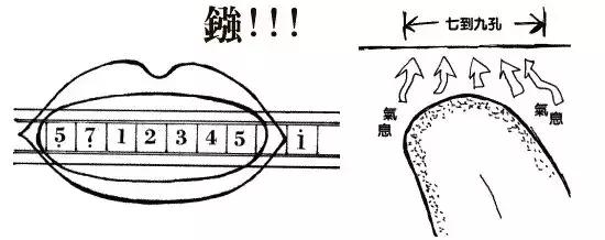 口琴入门用复音还是半音阶,复音二十四音口琴教学入门