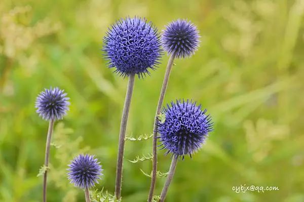 8个细节告诉你身边的人谁最靠谱,记住这八点看出身边人谁最靠谱