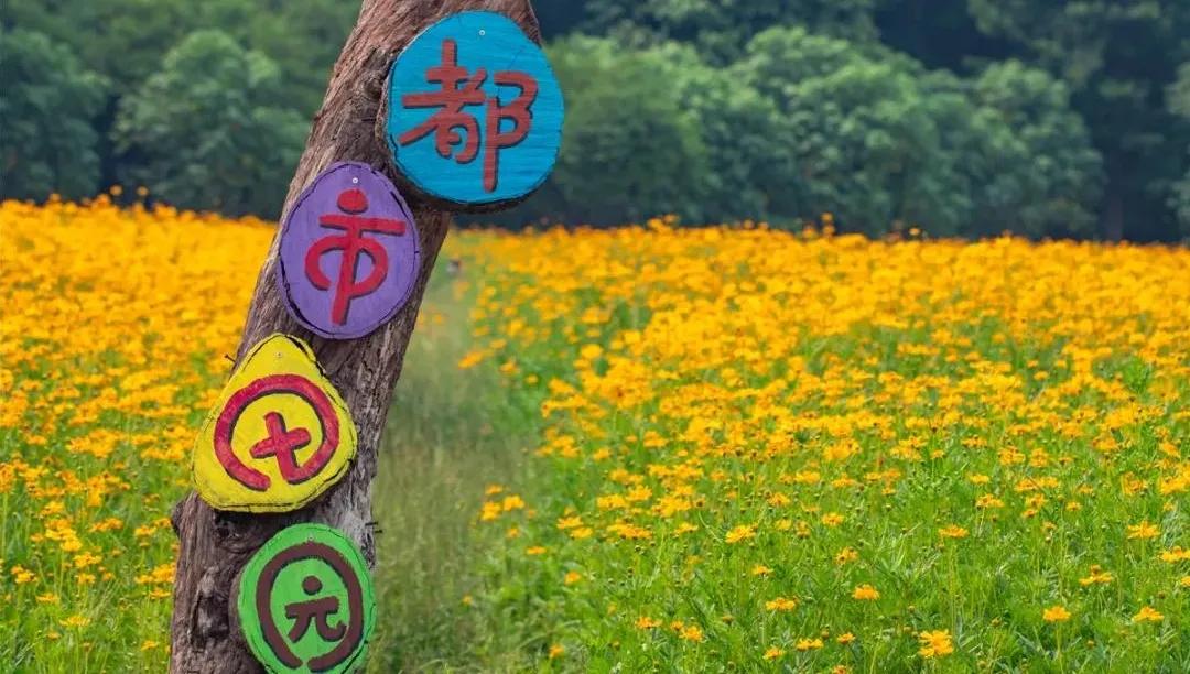 广州吃海鲜最便宜的地方2018年,广州的海鲜哪里又新鲜又便宜