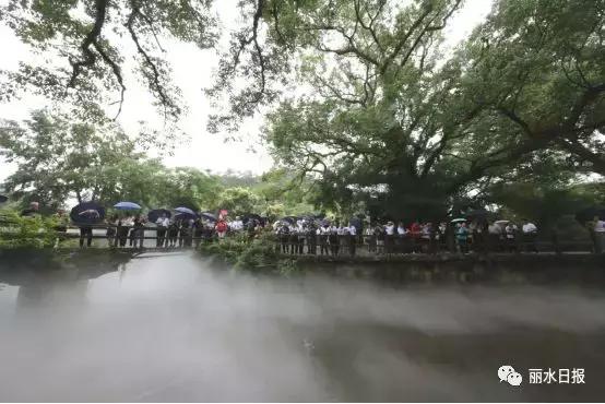 红色新丽水,红色浙西南央视