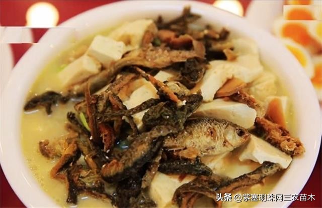 承德德润祥家庭农场,承德市德润祥家庭农场