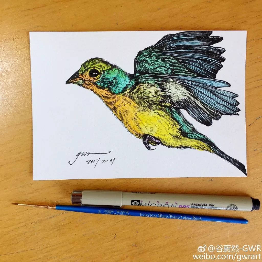 简单针管笔手绘花,简单易学针管笔手绘