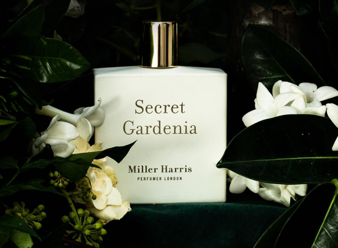 各大美妆品牌最值得买的护肤品,hb美妆排行榜