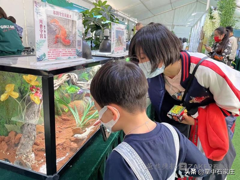 遛娃好去处好店推荐沉浸亲子体验,遛娃好去处亲子活动门票