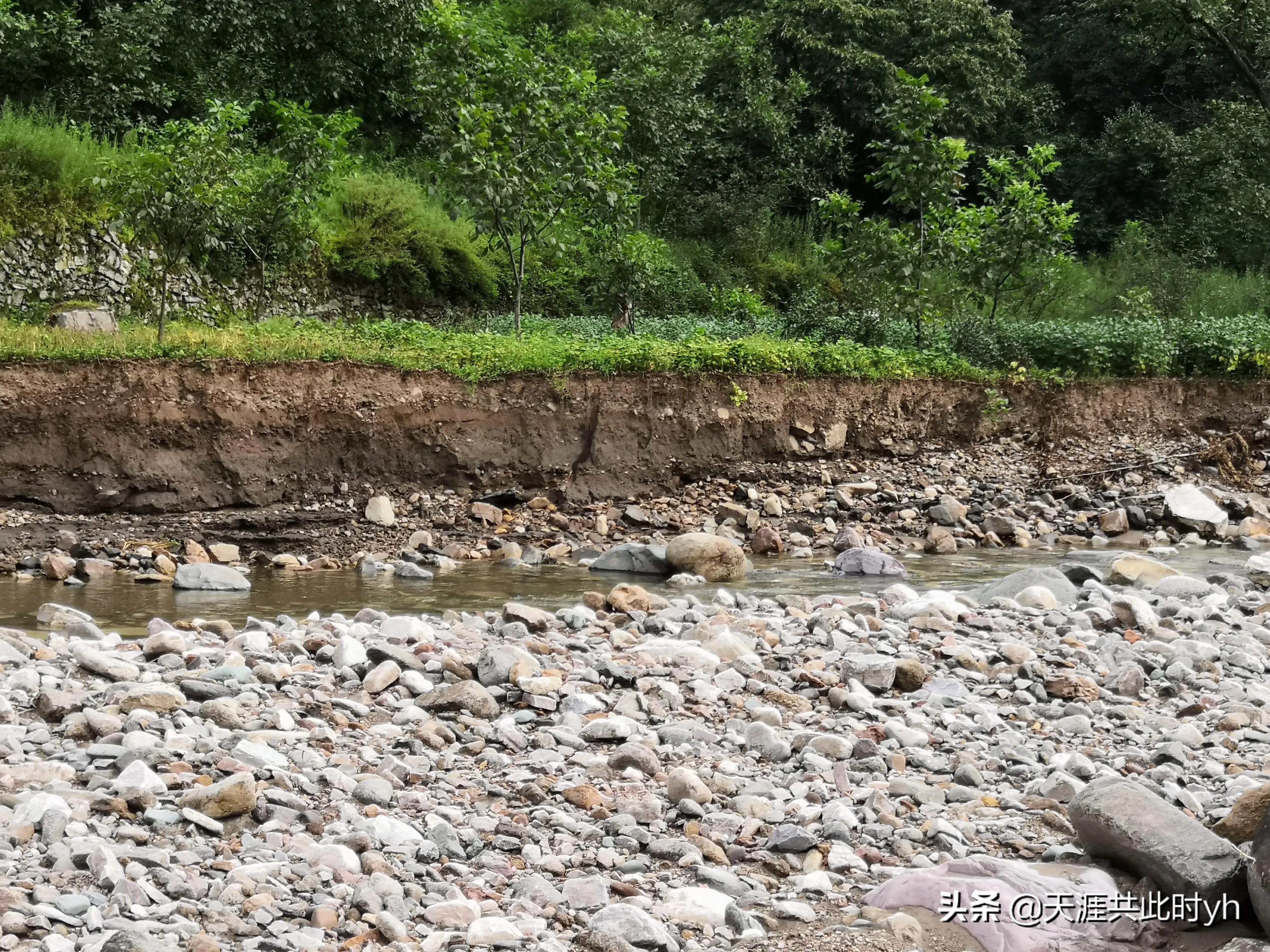 毁了丈夫，殃及亲戚，都是滥情惹的祸