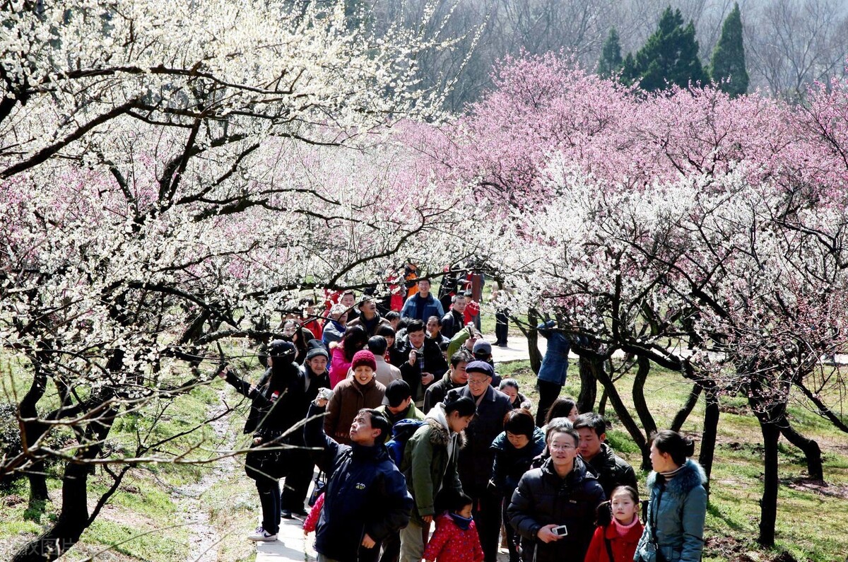 清明节由来和习俗幼儿动画视频,清明节的由来和习俗的思维导图