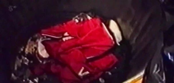 植树节的重大事件,凶案深处植树节是哪一集