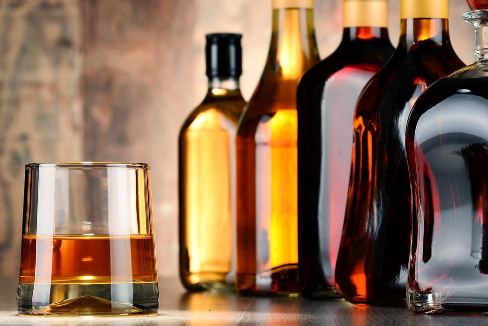 别再给猫咪喂食“这些食物”了，一不小心，命都没了