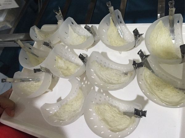 认识燕窝,带你走进神奇的燕窝世界