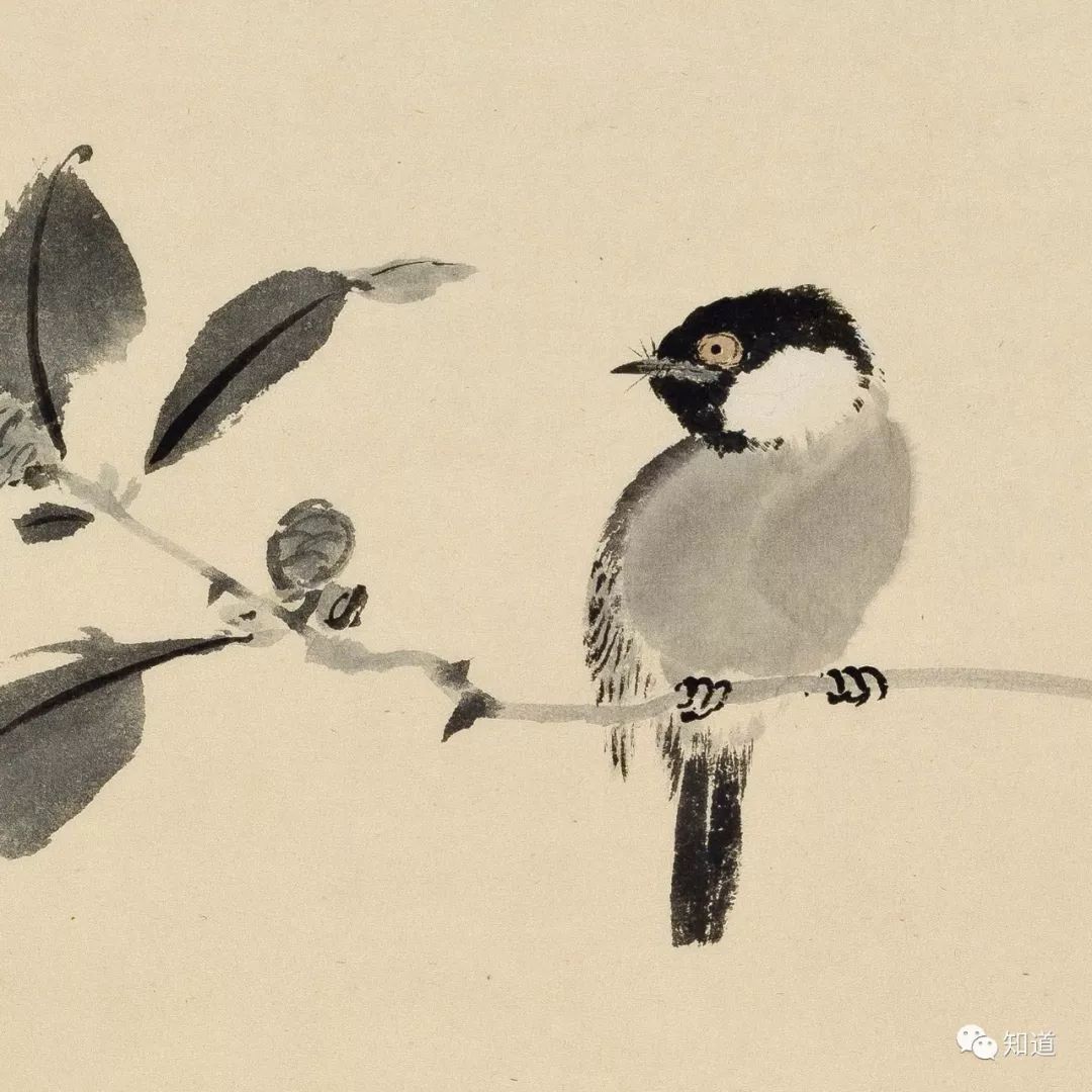 绘画必须明白的知识,绘画必须要学会什么