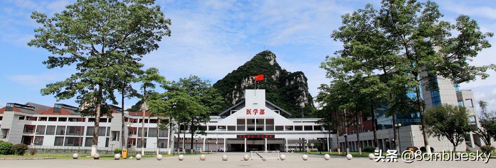 学医不代表什么都懂,学医不从医好吗