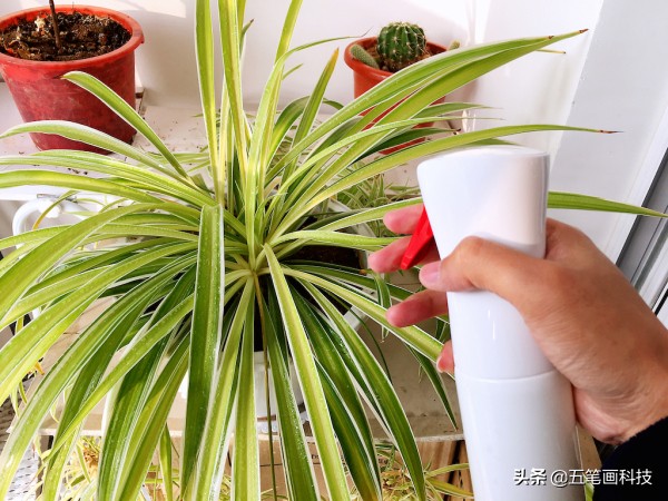 宜家家居清洗,宜洁拖地清洁剂