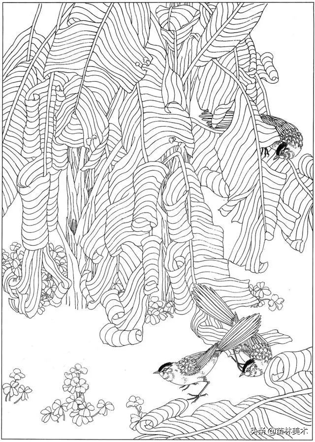 现代国画工笔花鸟白描及完整版,路雨年工笔白描花鸟团扇高清图片