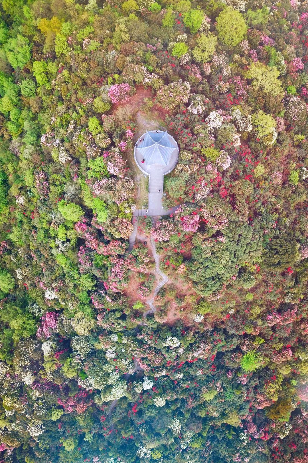 贵州有好多景点,贵州今年比较火的景点