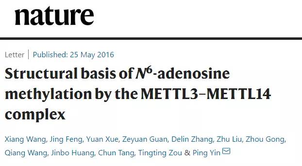 颜宁入选各学院院士候选人了吗,浙江最美教授颜宁