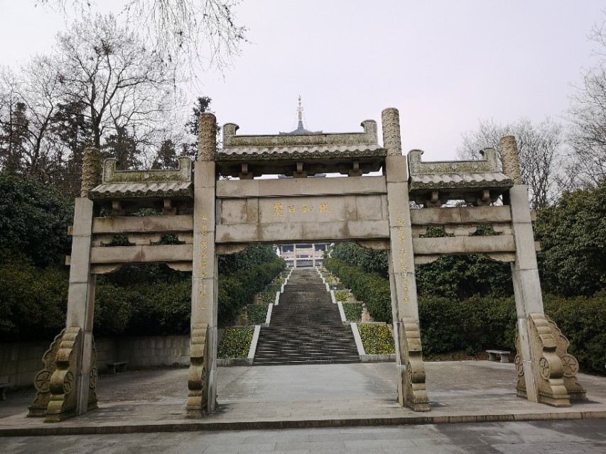 宜兴竹海游和龙背山森林公园游记