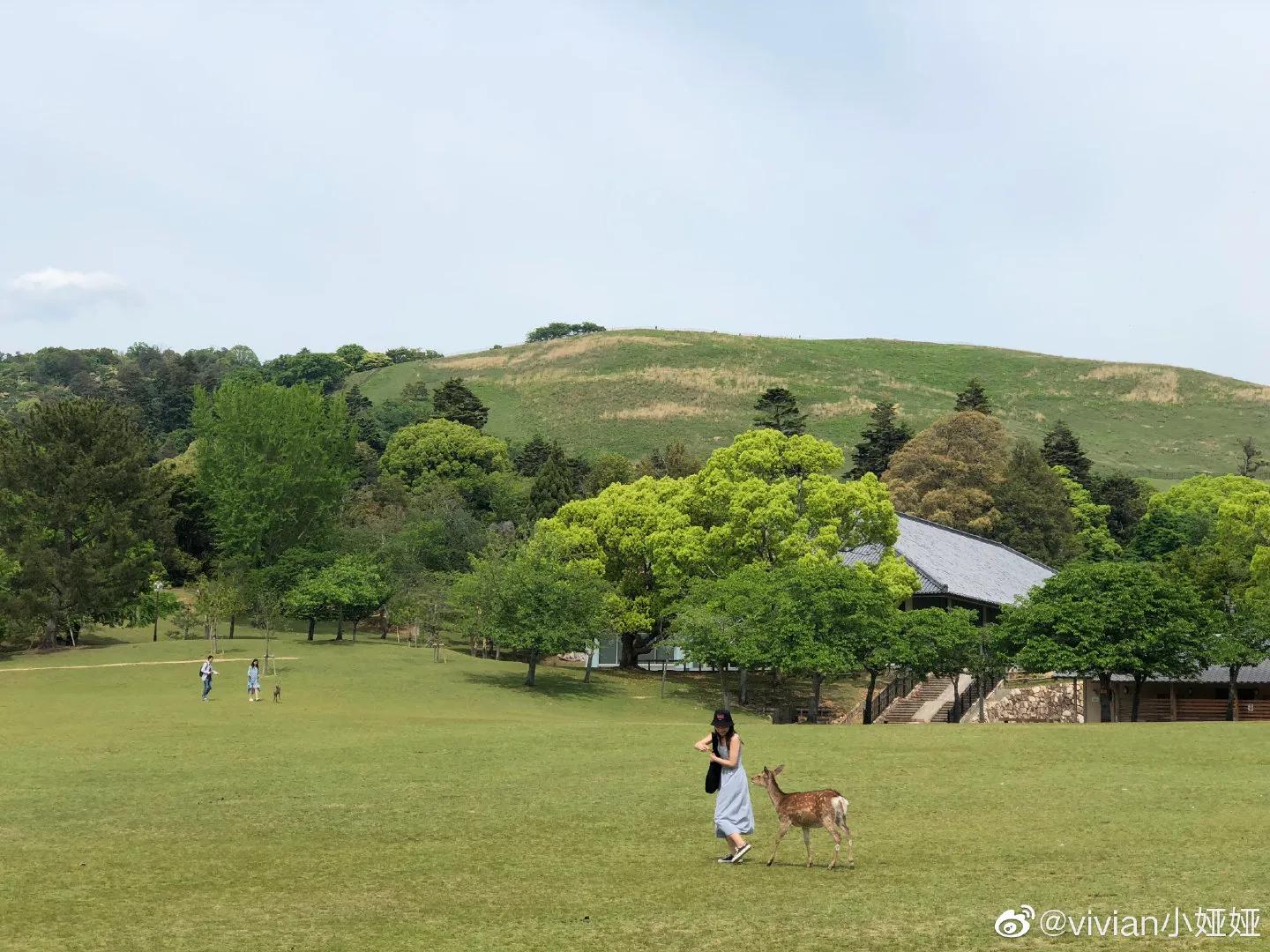 日本大阪旅游攻略大全视频,日本大阪旅游攻略博主