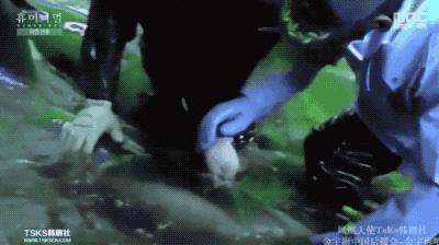 9.4分韩国催泪电视剧,韩国十部9.5评分催泪电影