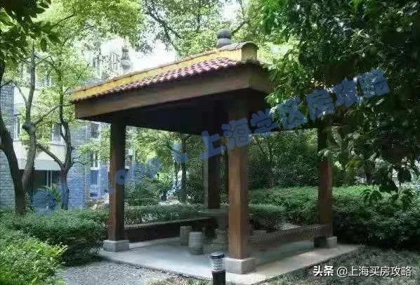 徐汇四大公办小学对比,上海汇师小学和分校