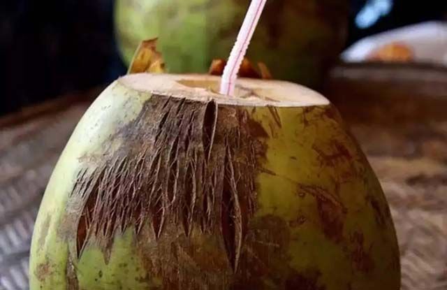 最好喝椰子品种,最适合夏季的椰子