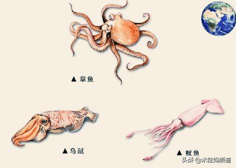 年度惊喜电影,8部科普必看的动画片