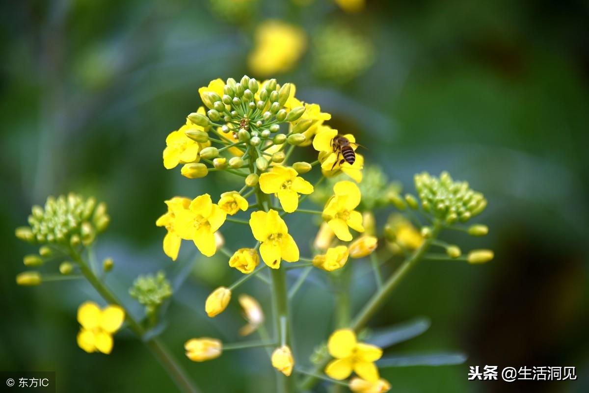 人心叵测要小心提防,人心叵测永远琢磨不透