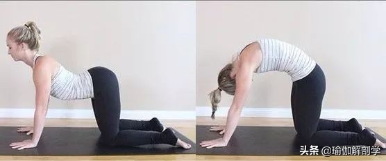 瑜伽英雄卧的好处和功效,瑜伽体式金刚卧腰痛