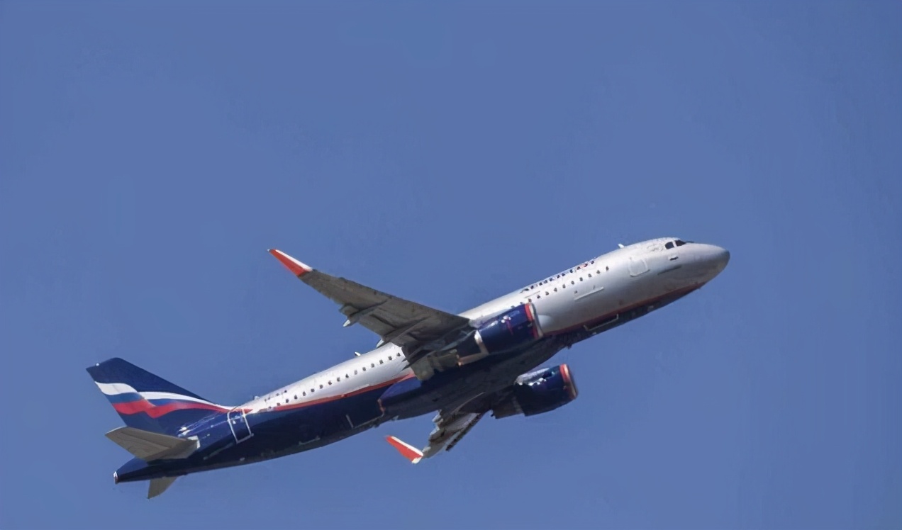 海外同胞的好消息,国外新闻好消息10条