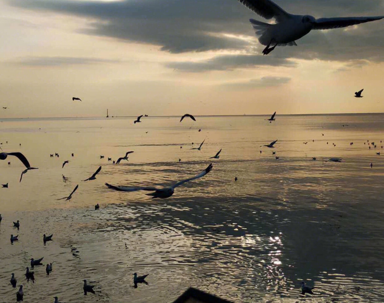 最好的时光遇见你免费观看,泰国5日经典旅游攻略