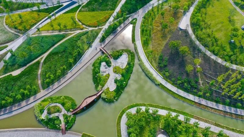 1920上海所有事件,上海大规模事件