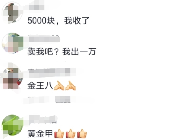 罕见！南昌钓鱼人钓上“黄金鳖”，有人想出高价购买