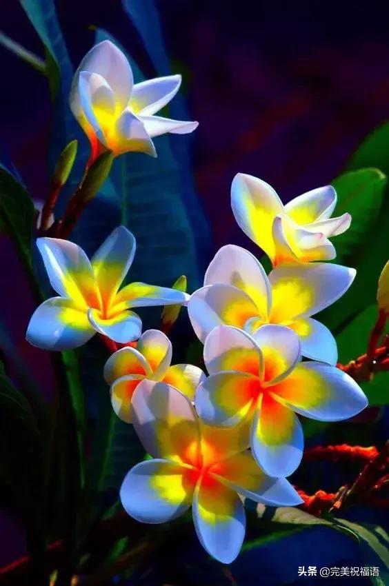 六一相册影集,六一照片专场