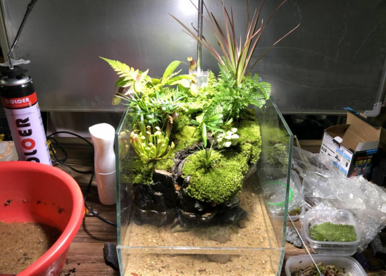 半夜睡不着想改造房间把家拆了,睡不着觉的装修效果图