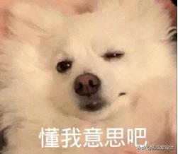 复试简历需要成绩和绩点吗,本科绩点太差复试怎么解释