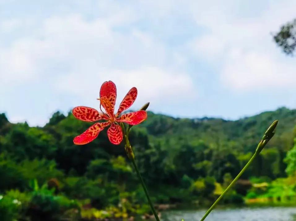 读书经典名著,值得一生反复阅读的名著