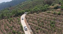 昔逐红尘千里归,昔逐红尘千里归出自哪里